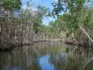 Barron River (14. Nov.)