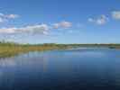 beim Ernest F. Coe Visitor Center im Everglades National Park (14. Nov.)