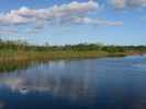 beim Ernest F. Coe Visitor Center im Everglades National Park (14. Nov.)