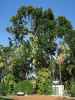 beim Ernest Hemingway House in Key West (15. Nov.)