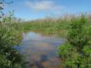 National Key Deer Refuge (16. Nov.)