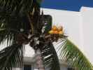 Cardozo Hotel in Miami Beach (18. Nov.)