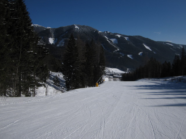 Mühlenwald-Abfahrt
