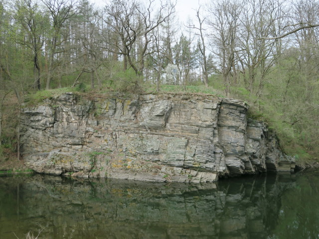 Thaya zwischen Hardegg und Znaim