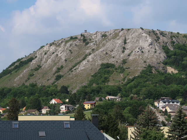 Braunsberg