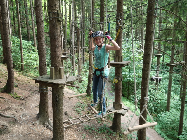 Kletterwald Buchenberg: Anja Liv im Parcours 'Baummarder'