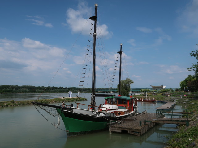 Regentag