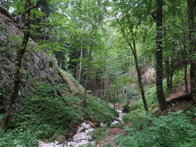Weichtalklamm