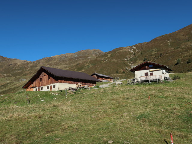 Hobalm (13. Okt.)