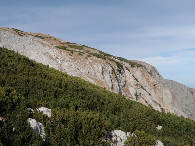 Hohe Lehne