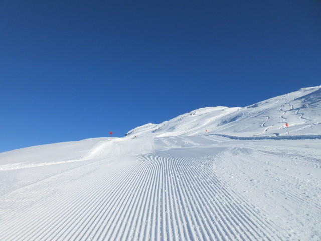 Kalbenalm-Abfahrt