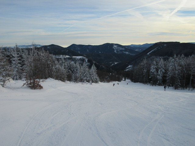 Waldabfahrt