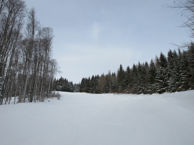 Karnerschlag