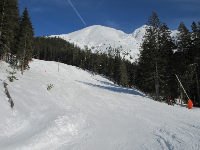 Reitheralmabfahrt