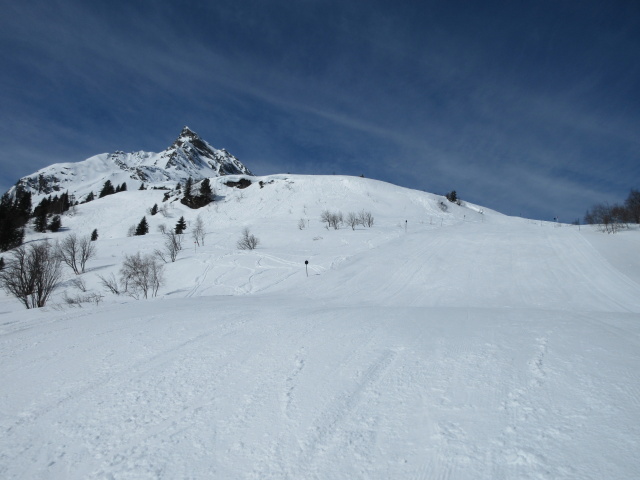 Birkhahnabfahrt
