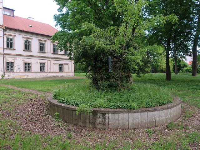 Brunnen