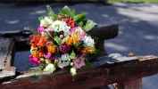 Blumen © novaczek.at