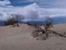 Mesquite Flat Sand Dunes im Death Valley National Park (22. Mai)