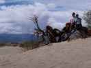 Ich und Sabine auf der Mesquite Sand Dunes im Death Valley National Park (22. Mai)