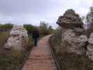Sabine im Mono Lake County Park (23. Mai)