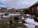 Bodie, 2.554 m (23. Mai)