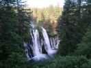 Burney Falls (25. Mai)