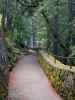 Burney Falls Loop Trail (25. Mai)