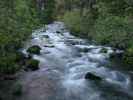 Burney Creek (25. Mai)