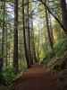 Burney Falls Loop Trail (25. Mai)