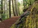 Burney Falls Loop Trail (25. Mai)