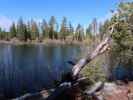 Manzanita Lake im Lassen Volcanic National Park (25. Mai)