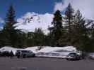 Devastated Area im Lassen Volcanic National Park (25. Mai)