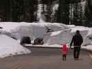 Sulphur Works im Lassen Volcanic National Park (25. Mai)