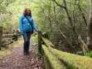 Sabine im Kruse Rhododendron State Natural Reserve (26. Mai)