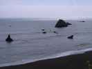 Sonoma Coast State Park (26. Mai)