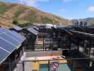 Marine Mammal Center (27. Mai)