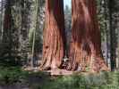 Ich neben dem Alta Trail im Sequoia National Park (30. Mai)