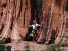 Ich neben dem Alta Trail im Sequoia National Park (30. Mai)