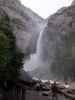 Lower Yosemite Fall im Yosemite National Park (31. Mai)