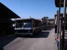 Studio Tour in den Universal Studios Hollywood (7. Juni)