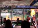 Studio Tour in den Universal Studios Hollywood (7. Juni)