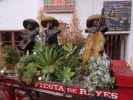Old Town San Diego State Historic Park (8. Juni)