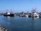 Tuna Harbor in San Diego (8. Juni)