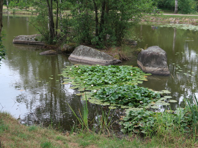 Teich
