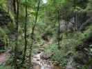 Bärenschützklamm