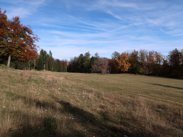 Hohe Mandling