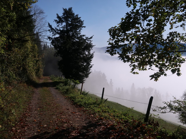 zwischen Hochhabichler und Steinernem Jäger