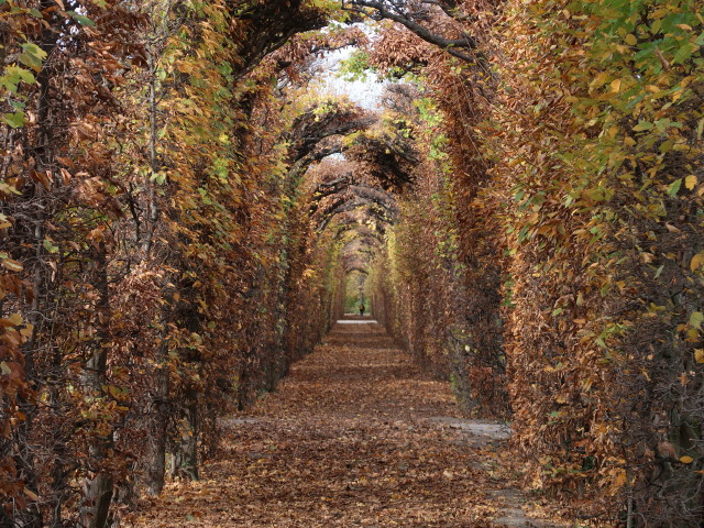Finstere Allee