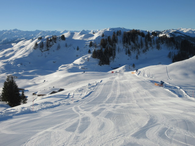 Pletzerwaldabfahrt