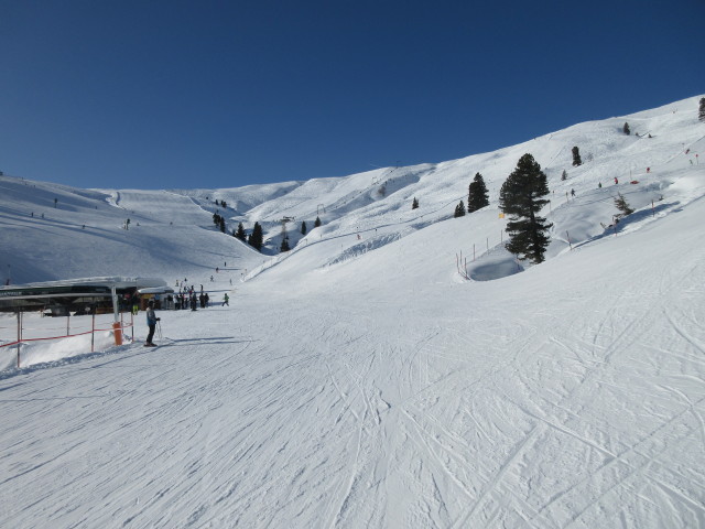 Fleckl Hochalm